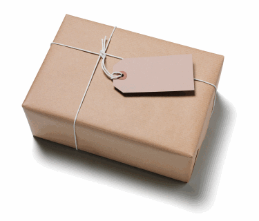 Shipping Label - USA Domestic Expedited - Under NY Sky